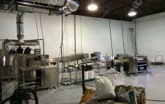 Full Automatic Wafer Biscuit Line In Malaysia